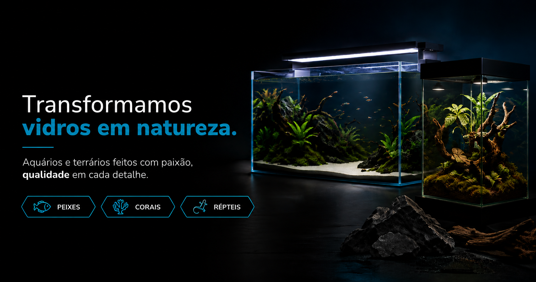 Banner Aquafelix